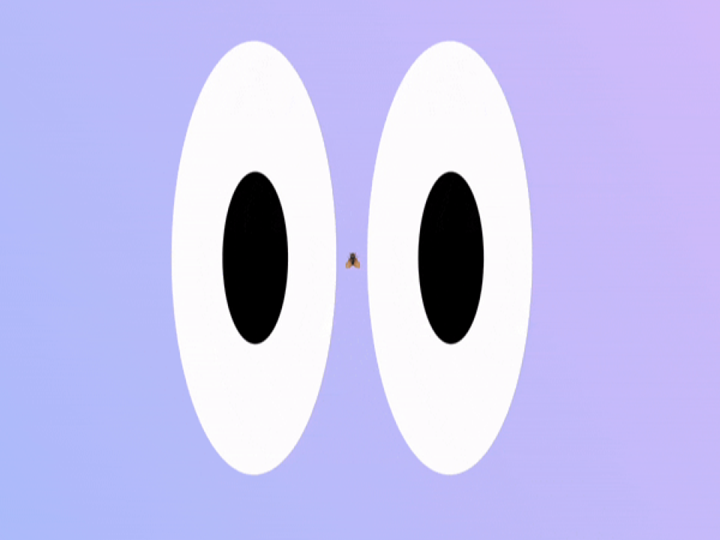 Pixeltalk